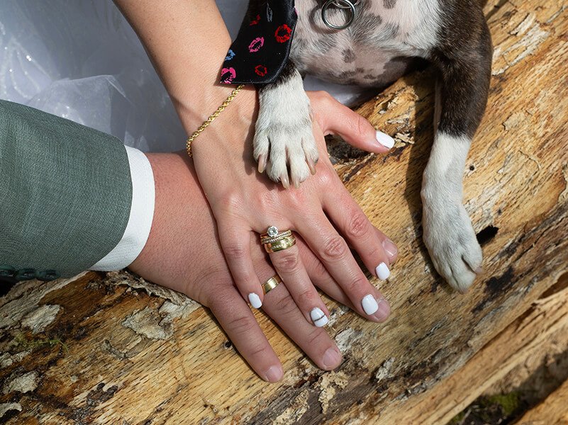Kis létszámú esküvő hétköznap: miért lesz meghittebb és stresszmentesebb?