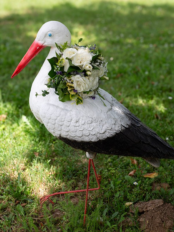 Pécsi esküvő I Fotó Király Krisztina