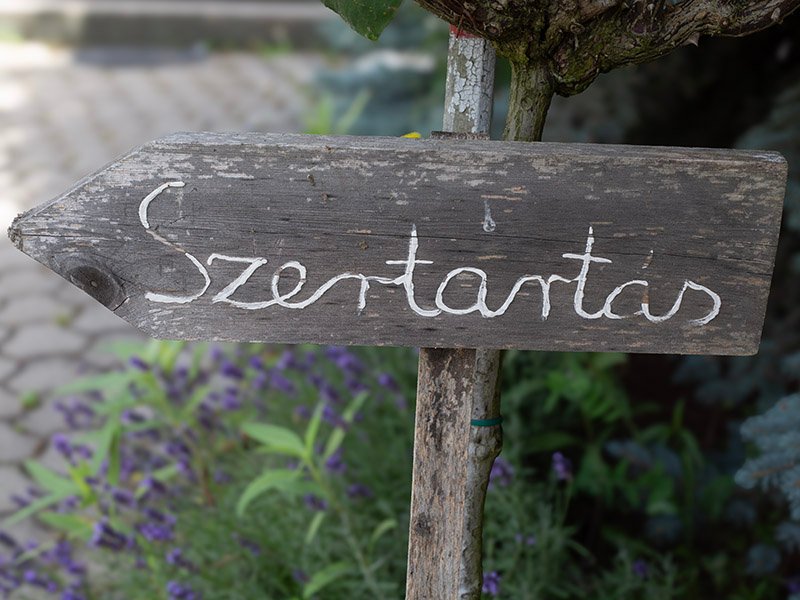 Pécsi esküvő I Fotó Király Krisztina